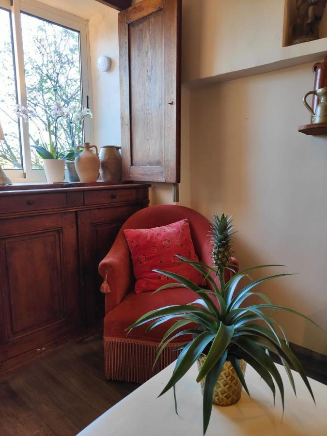 Maison Ancienne Romantique Avec Terrasse Panoramique Vaison-la-Romaine Eksteriør bilde