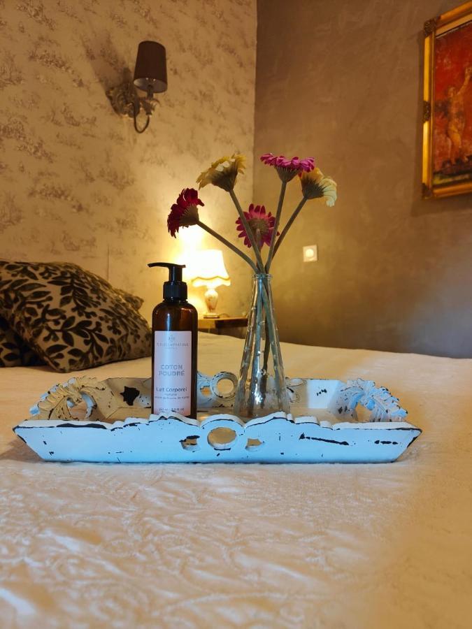 Maison Ancienne Romantique Avec Terrasse Panoramique Vaison-la-Romaine Eksteriør bilde